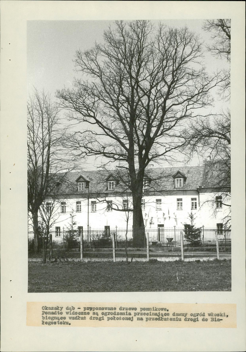 Ewidencja parkowa, skan nr 34