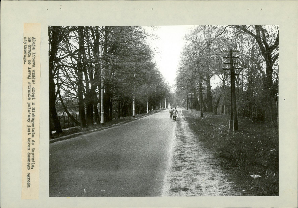 Ewidencja parkowa, skan nr 40