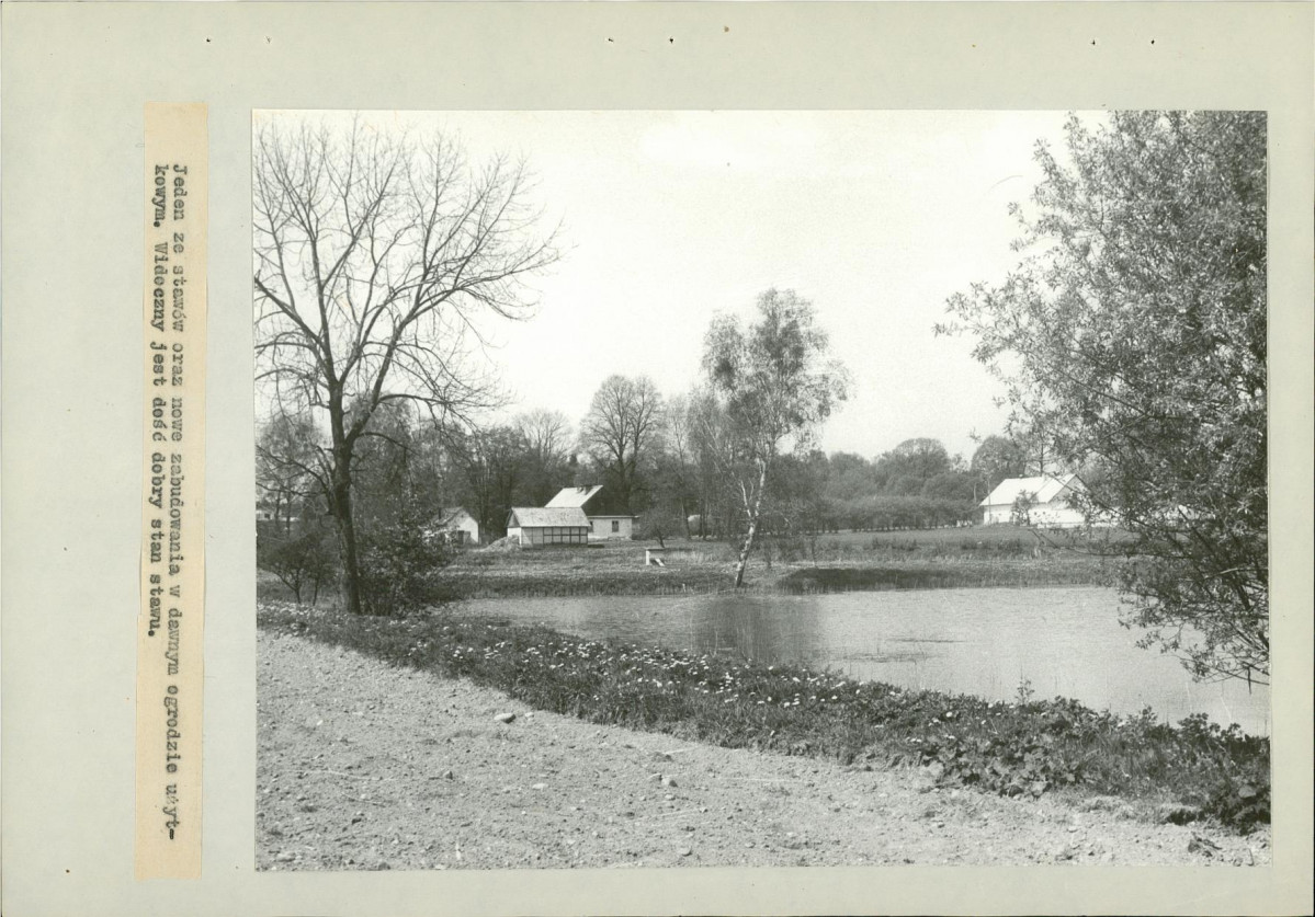 Ewidencja parkowa, skan nr 45