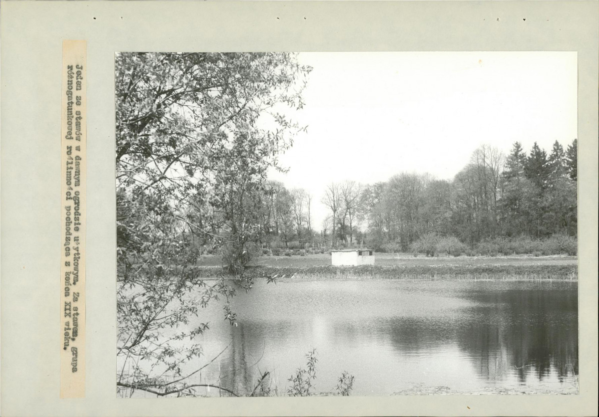 Ewidencja parkowa, skan nr 47