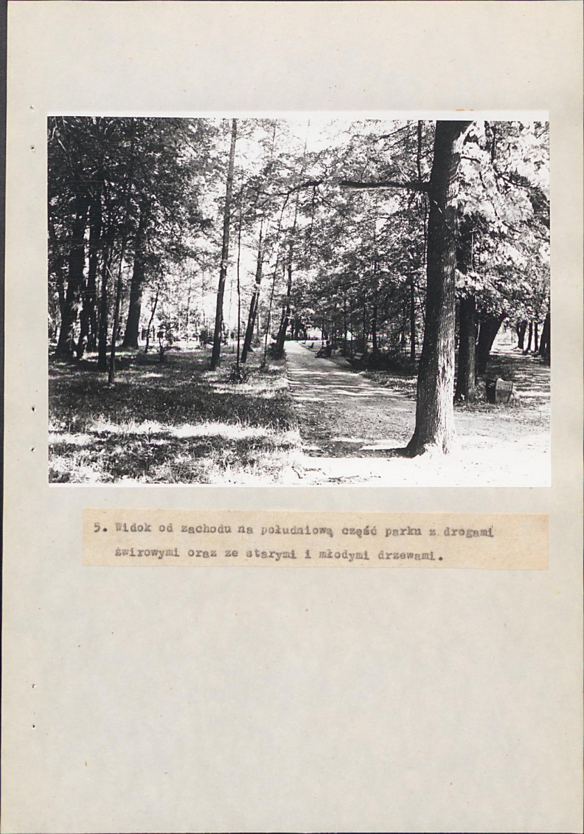 EP - Ewidencja parkowa, skan nr 29