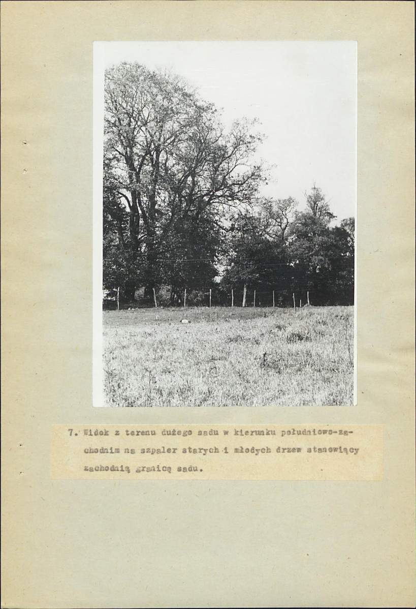 EP - Ewidencja parkowa, skan nr 36