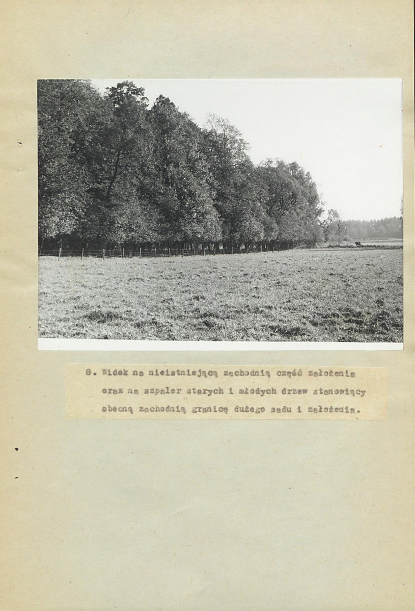EP - Ewidencja parkowa, skan nr 37