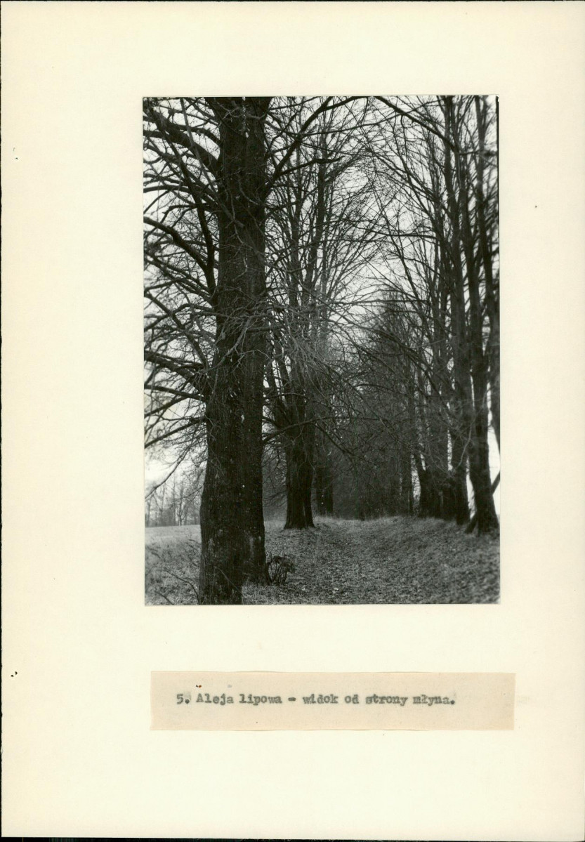 Ewidencja parkowa, skan nr 18