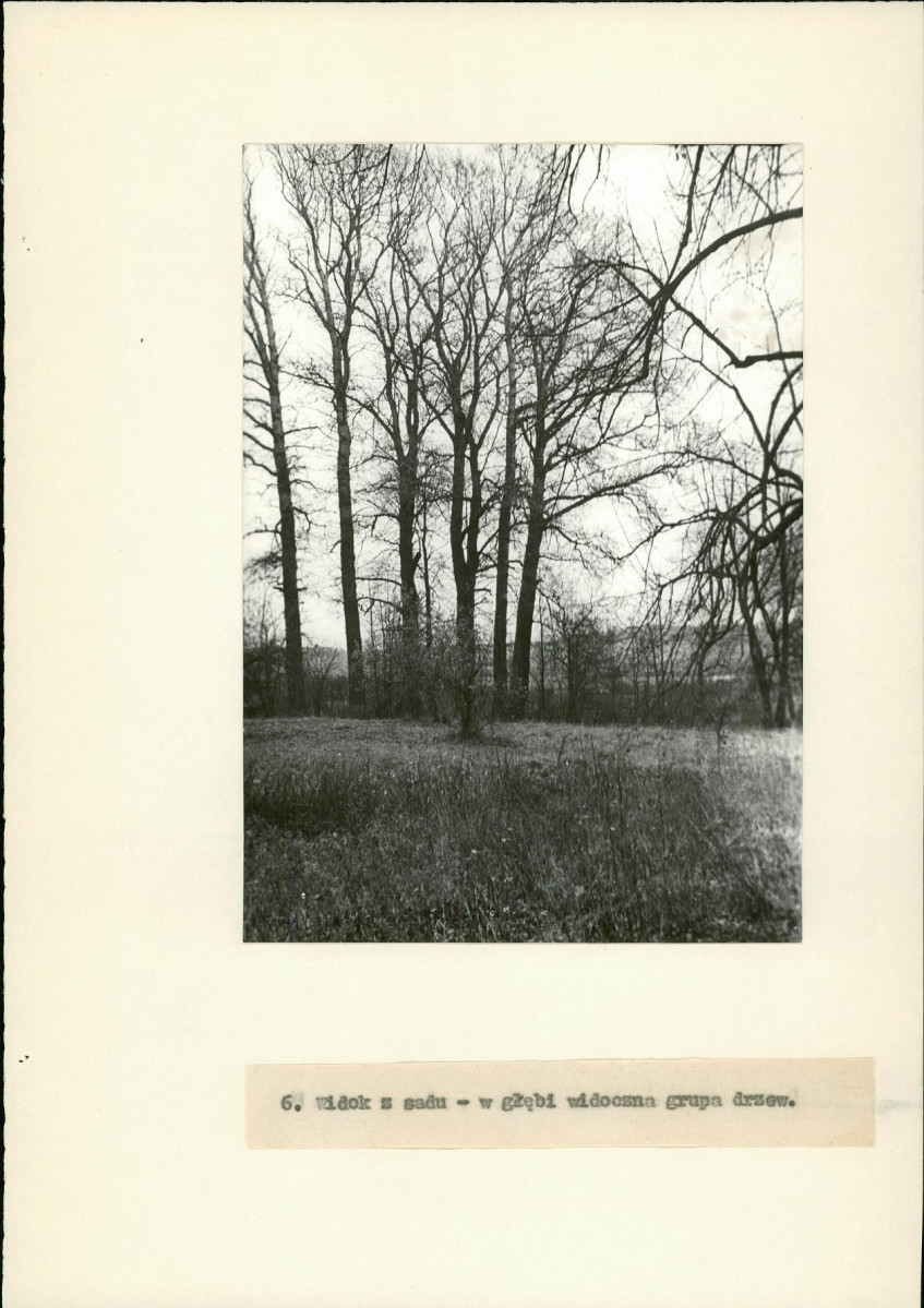 Ewidencja parkowa, skan nr 19