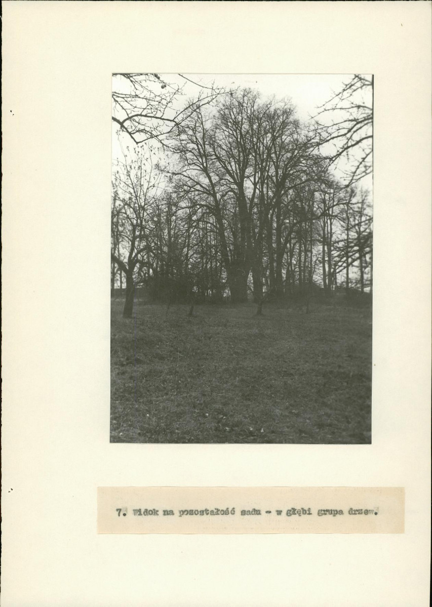 Ewidencja parkowa, skan nr 20