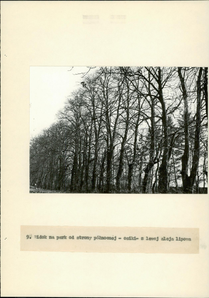 Ewidencja parkowa, skan nr 22