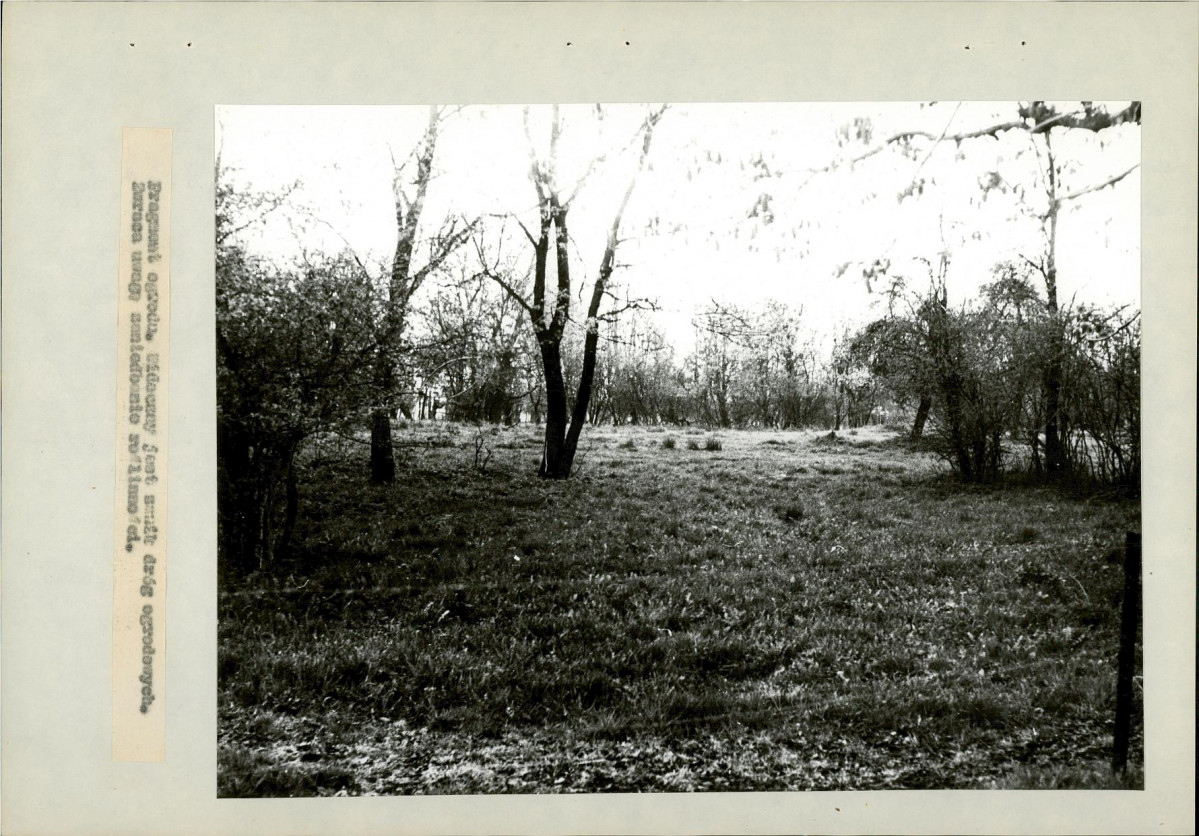 EP - Ewidencja parkowa, skan nr 18