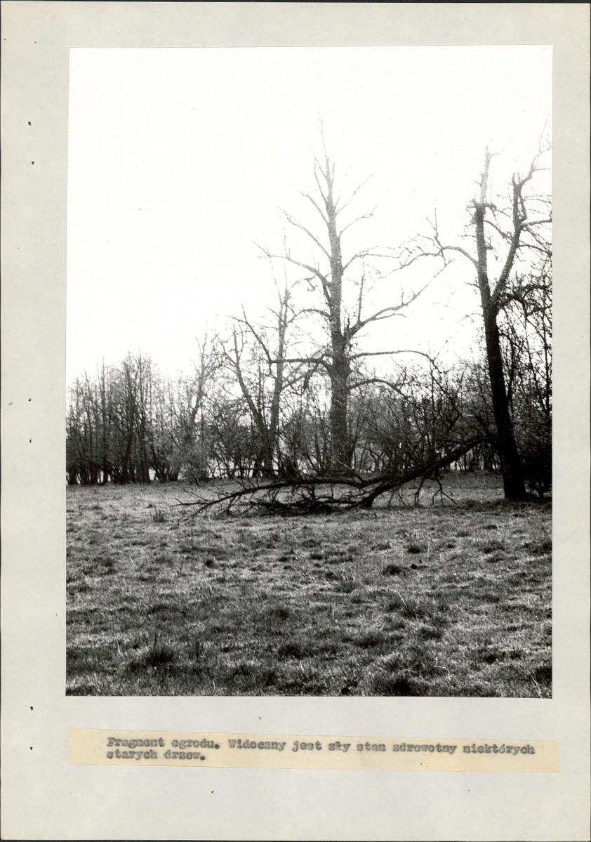 EP - Ewidencja parkowa, skan nr 19