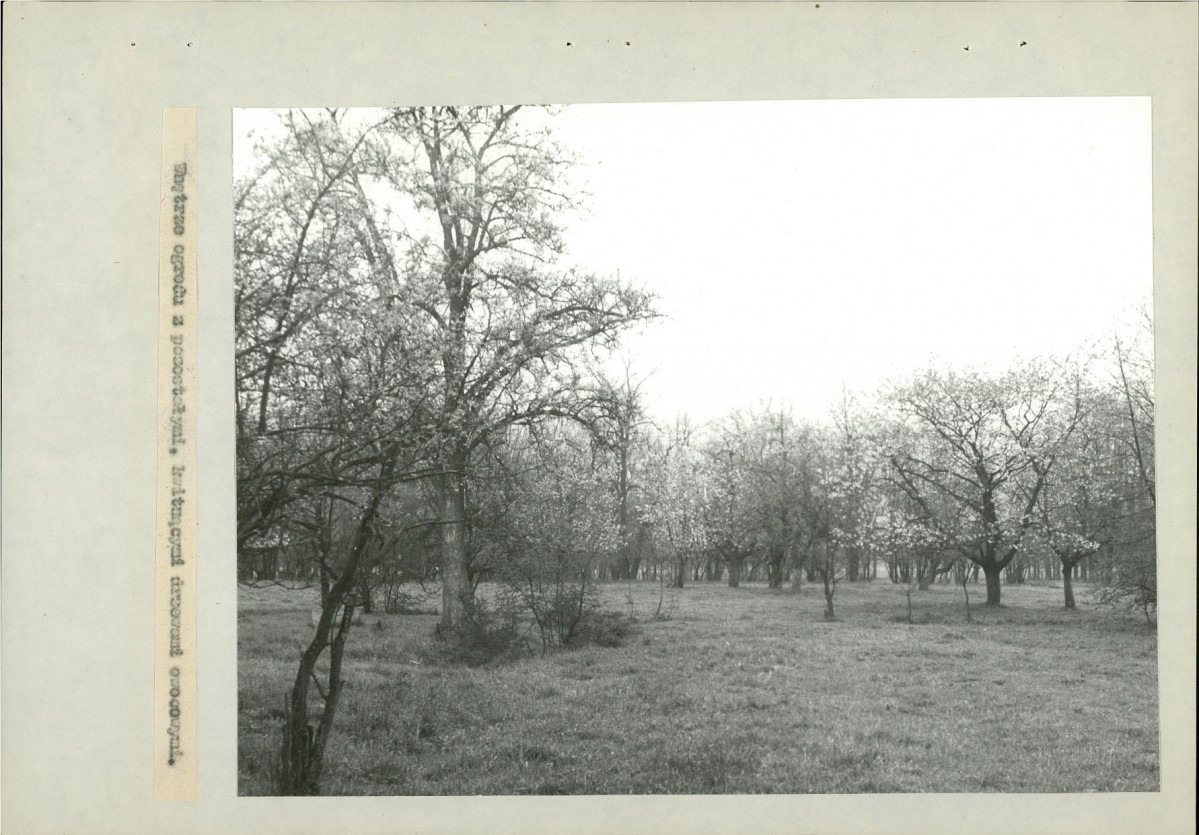 EP - Ewidencja parkowa, skan nr 21