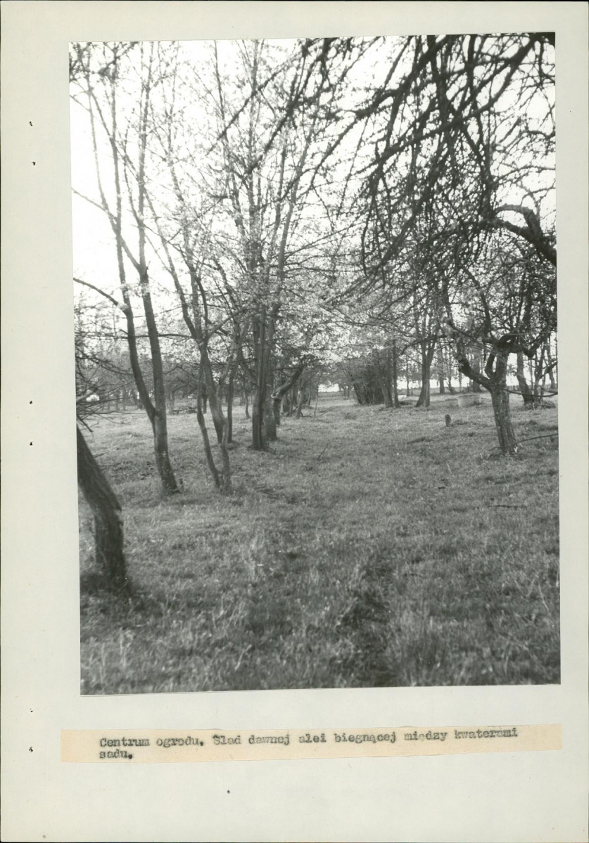 EP - Ewidencja parkowa, skan nr 22