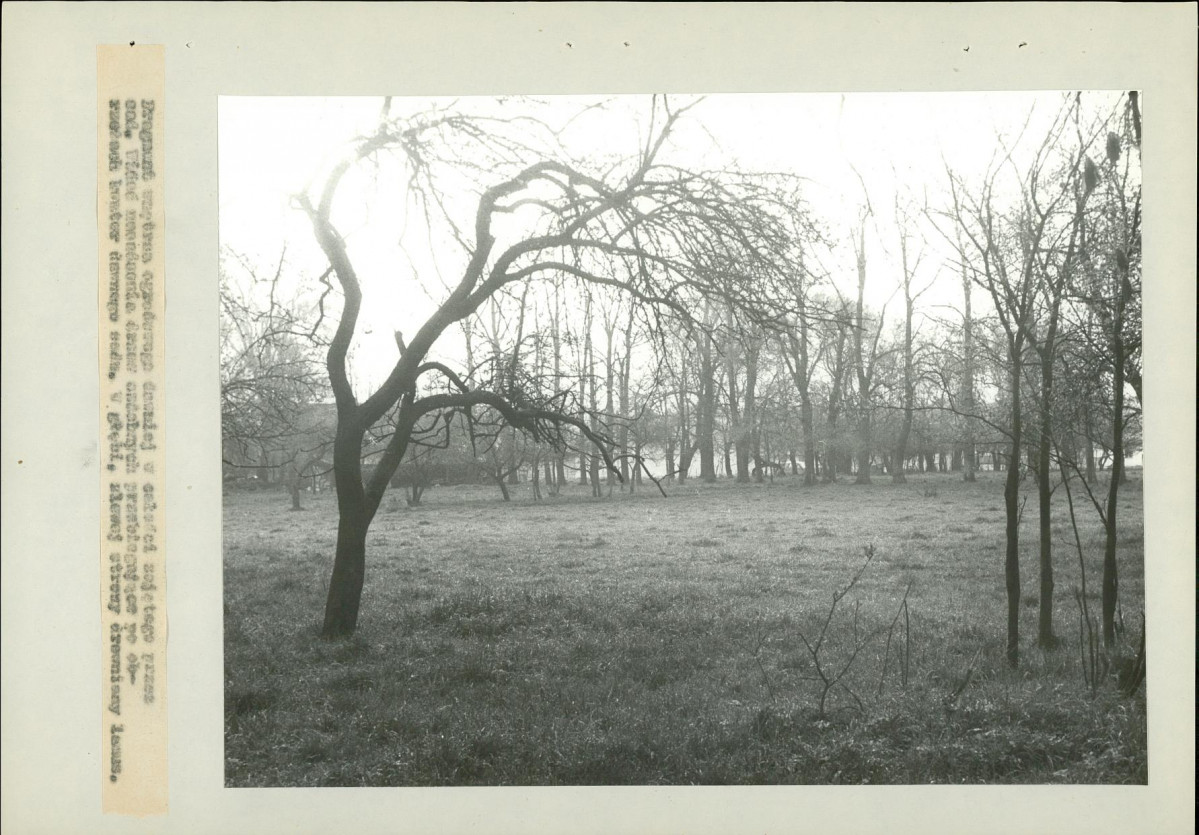 EP - Ewidencja parkowa, skan nr 23