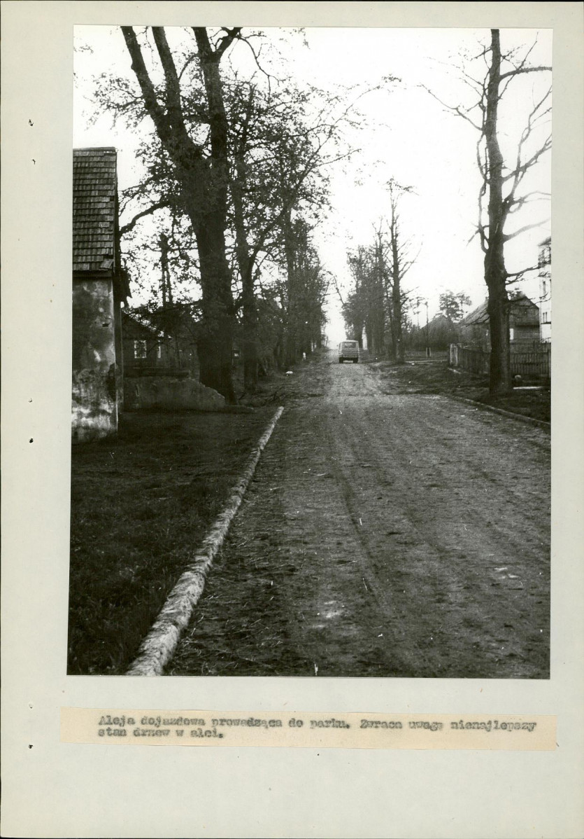 EP - Ewidencja parkowa, skan nr 25