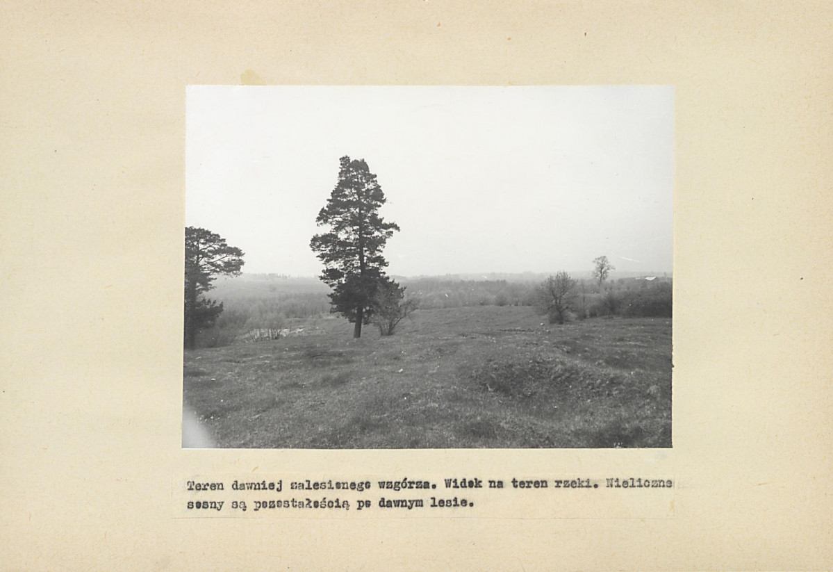 EP - Ewidencja parkowa, skan nr 21