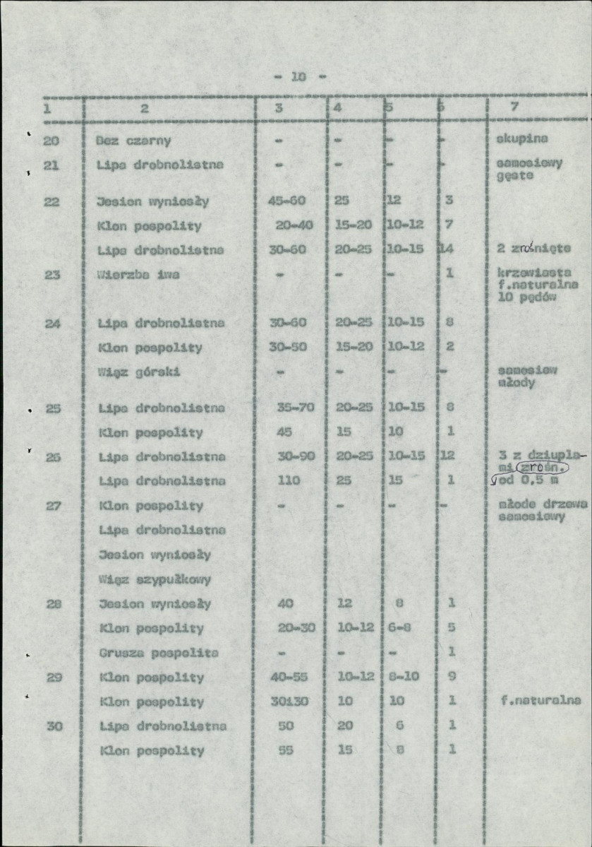 Ewidencja parkowa, skan nr 17