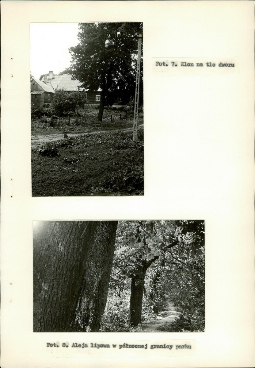 Ewidencja parkowa, skan nr 27
