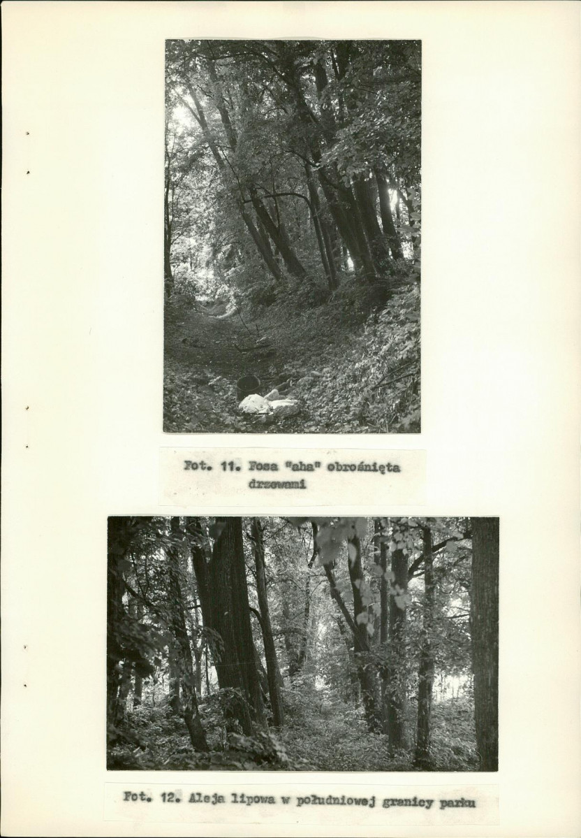 Ewidencja parkowa, skan nr 29