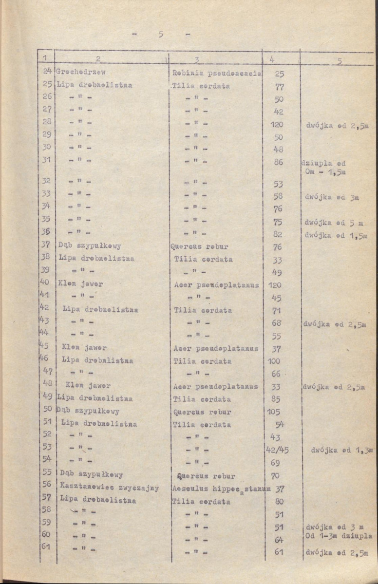 EP - Ewidencja parkowa, skan nr 12