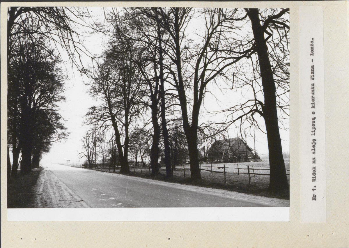 Ewidencja parkowa, skan nr 13