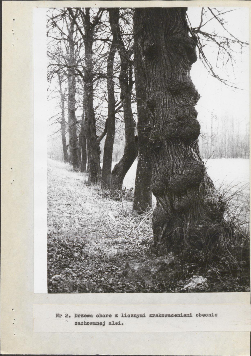 Ewidencja parkowa, skan nr 14