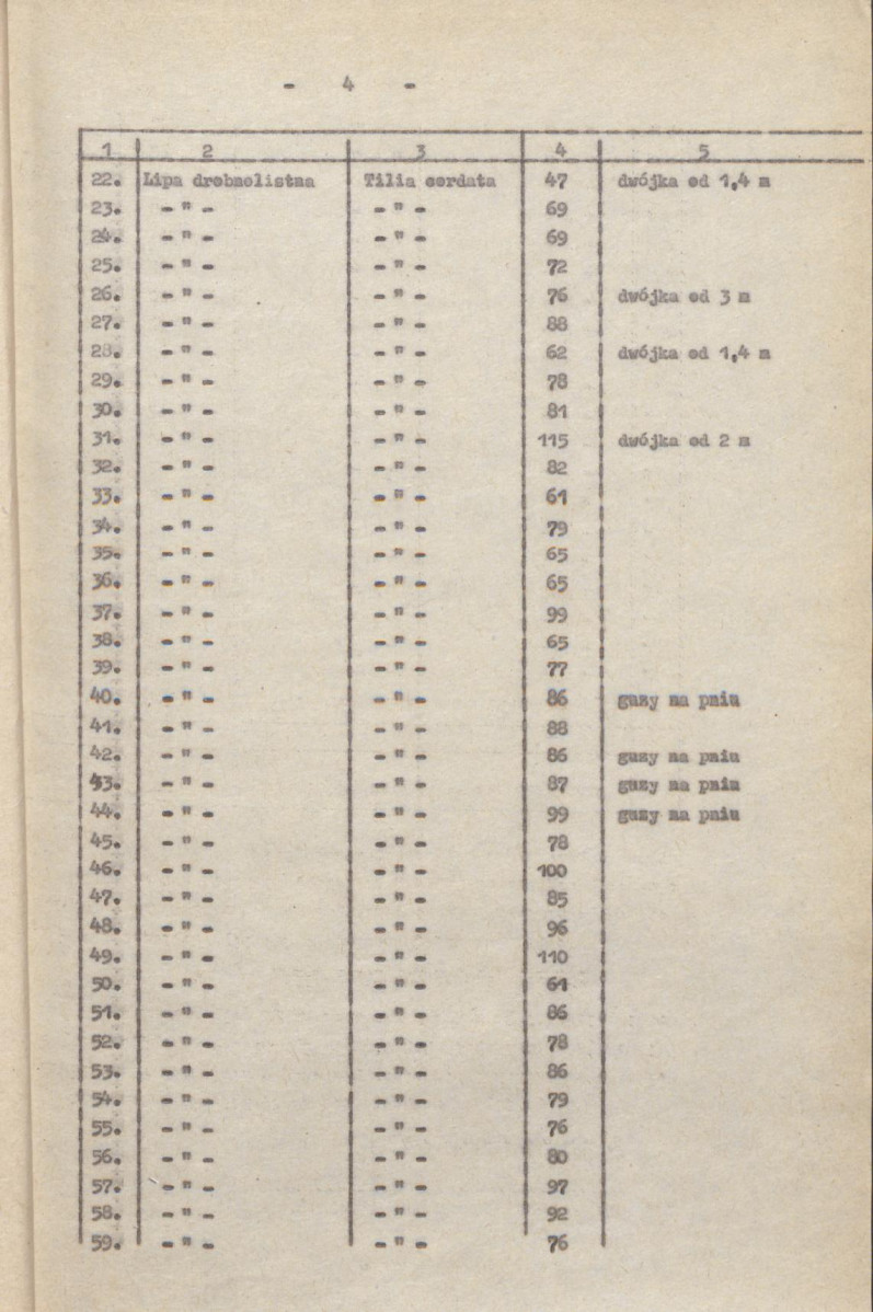 Ewidencja parkowa, skan nr 11
