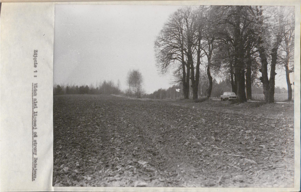 Ewidencja parkowa, skan nr 16