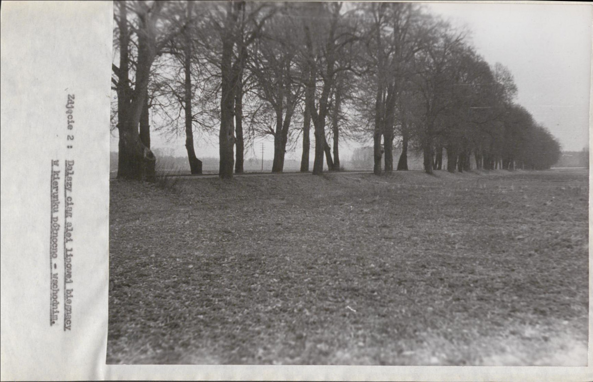 Ewidencja parkowa, skan nr 17