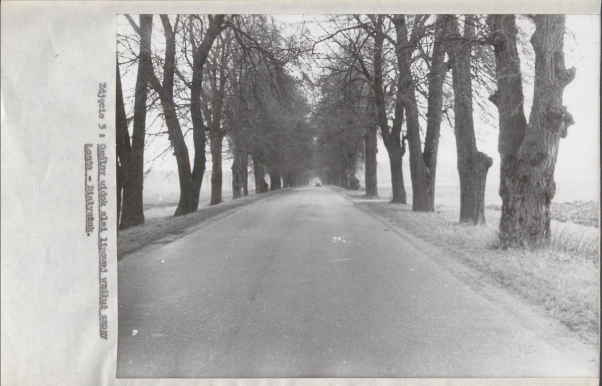 Ewidencja parkowa, skan nr 18