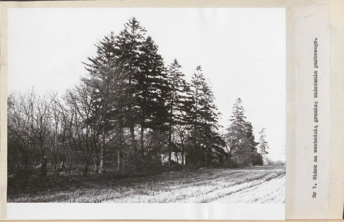 EP - Ewidencja parkowa, skan nr 16