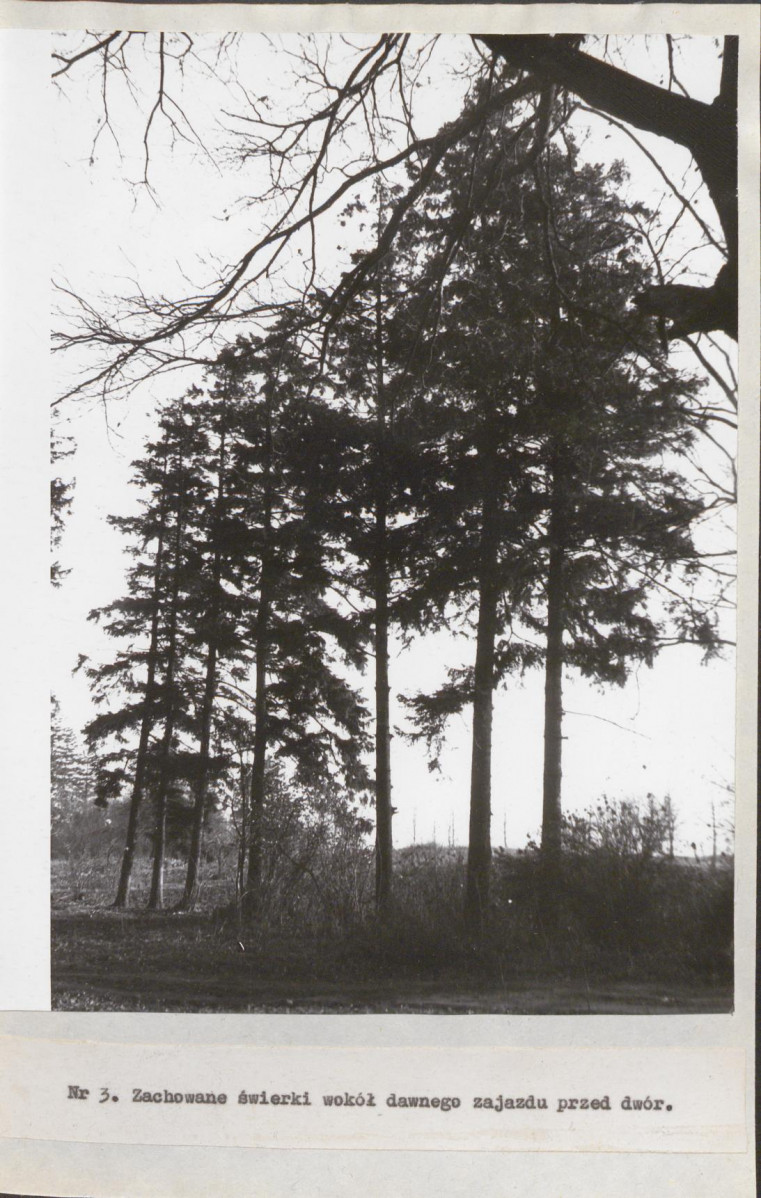 EP - Ewidencja parkowa, skan nr 18