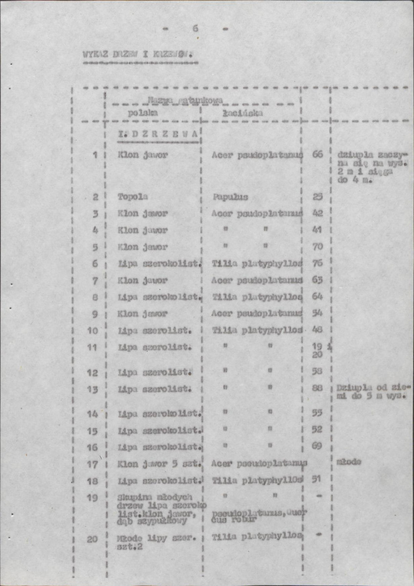 Ewidencja parkowa, skan nr 13