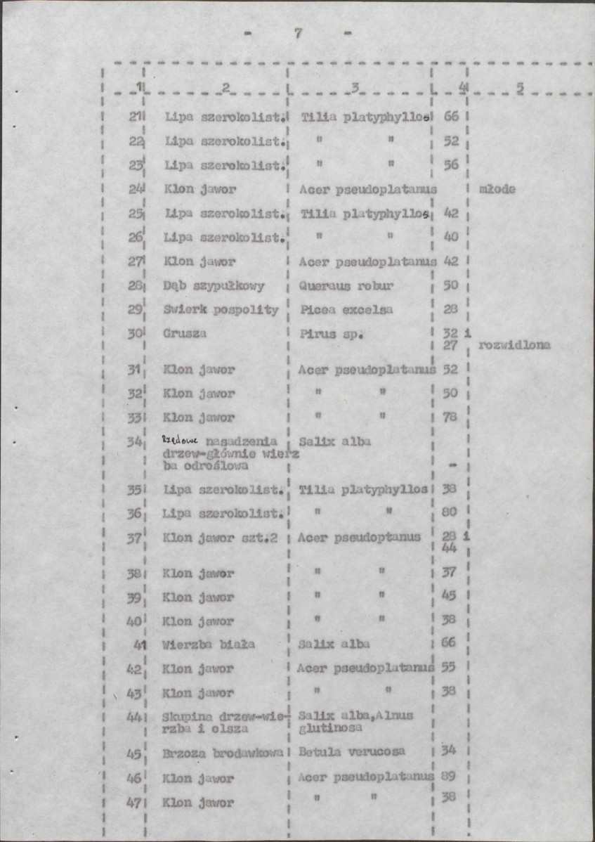 Ewidencja parkowa, skan nr 14