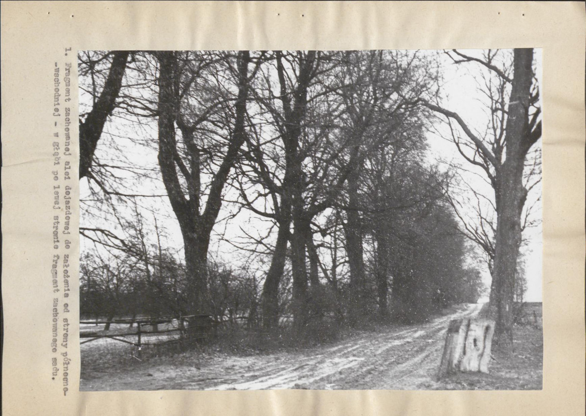 Ewidencja parkowa, skan nr 20