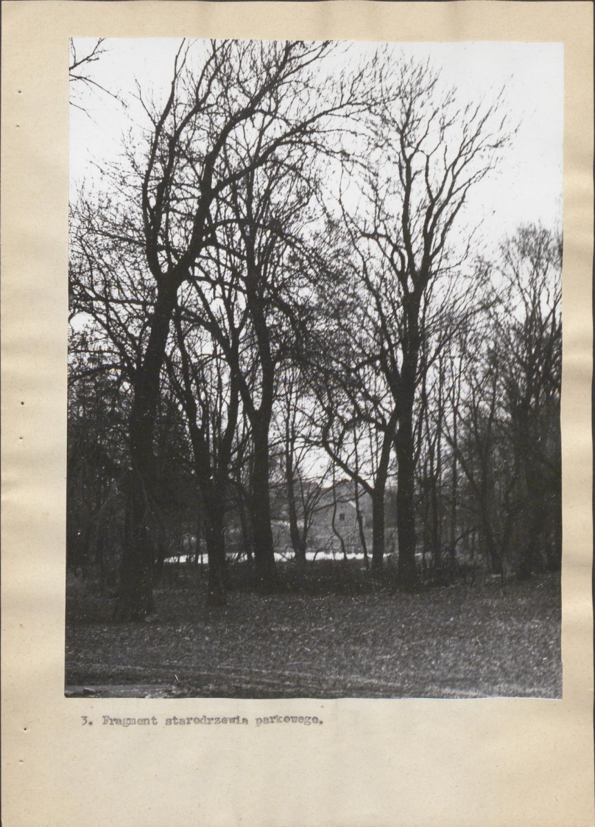 Ewidencja parkowa, skan nr 22