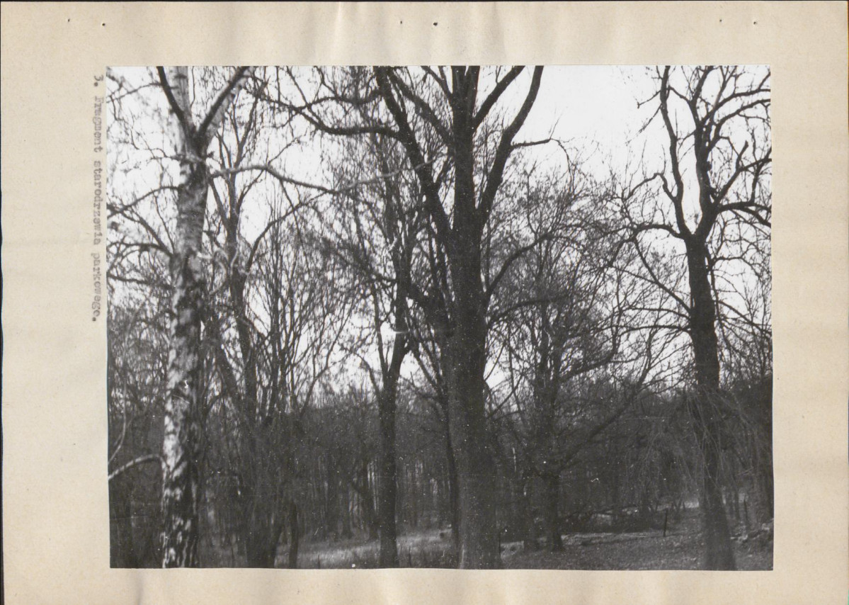 Ewidencja parkowa, skan nr 24