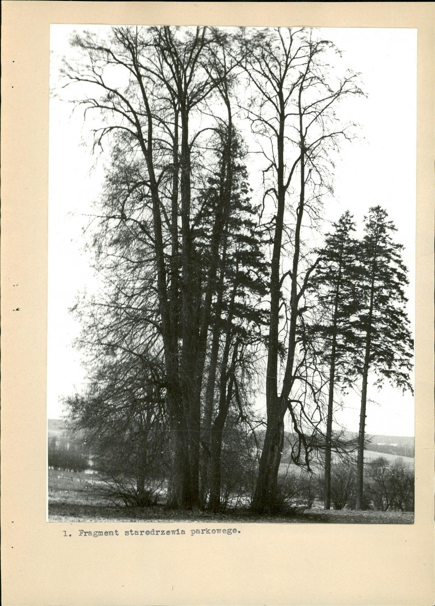 EP - Ewidencja parkowa, skan nr 22