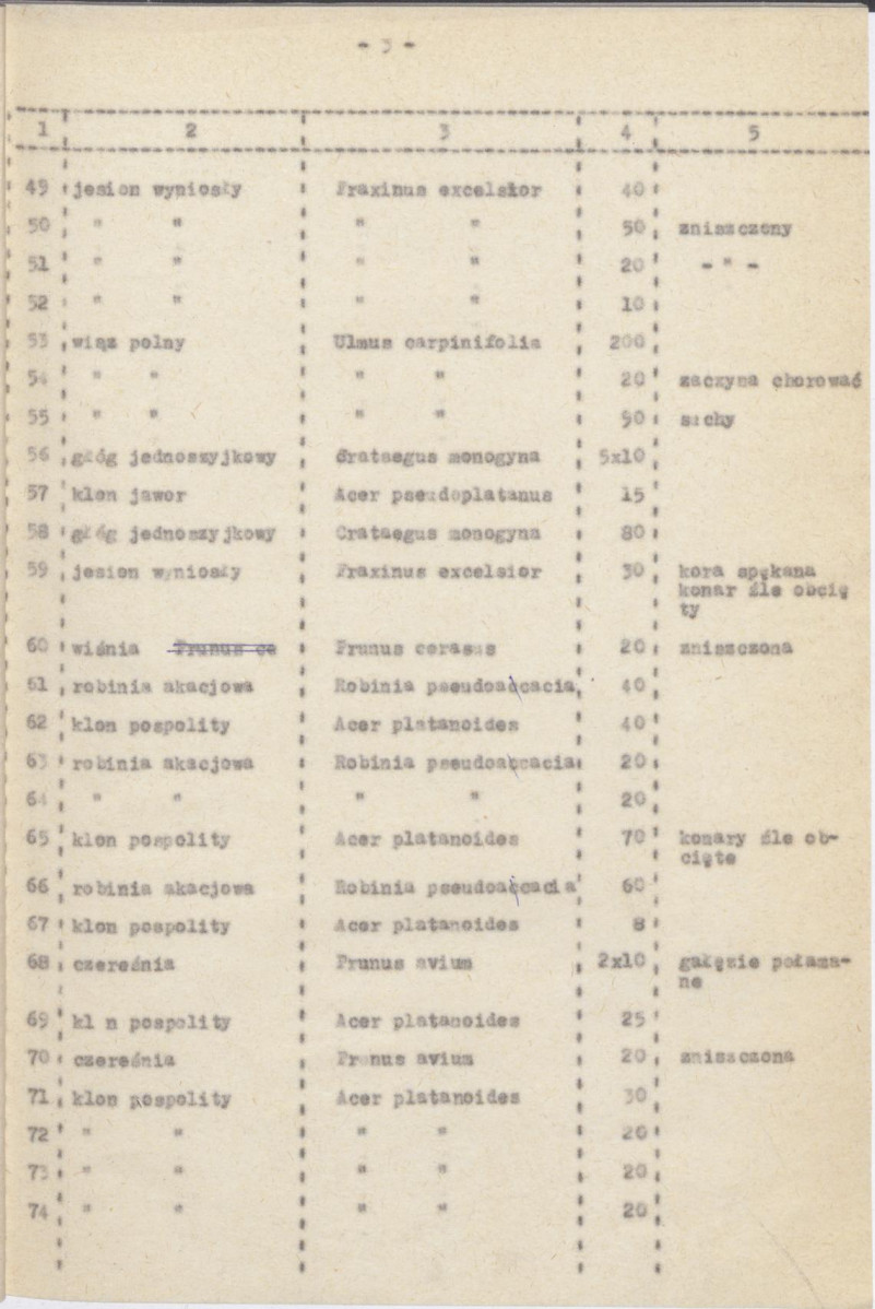 Ewidencja parkowa, skan nr 19