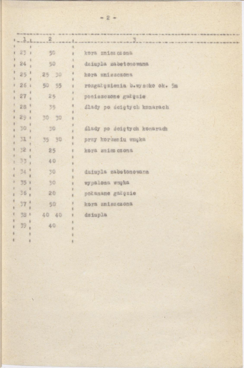Ewidencja parkowa, skan nr 26