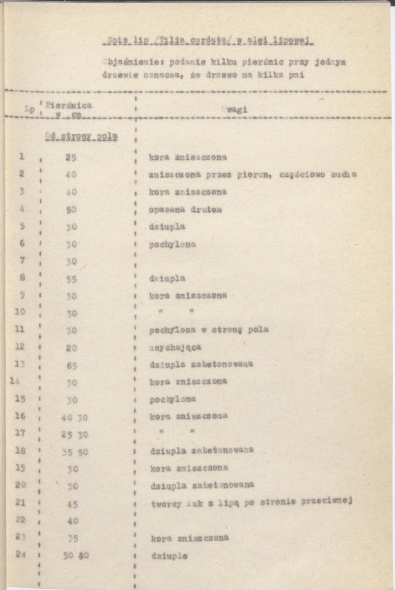 Ewidencja parkowa, skan nr 27