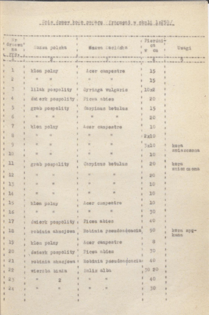 Ewidencja parkowa, skan nr 30