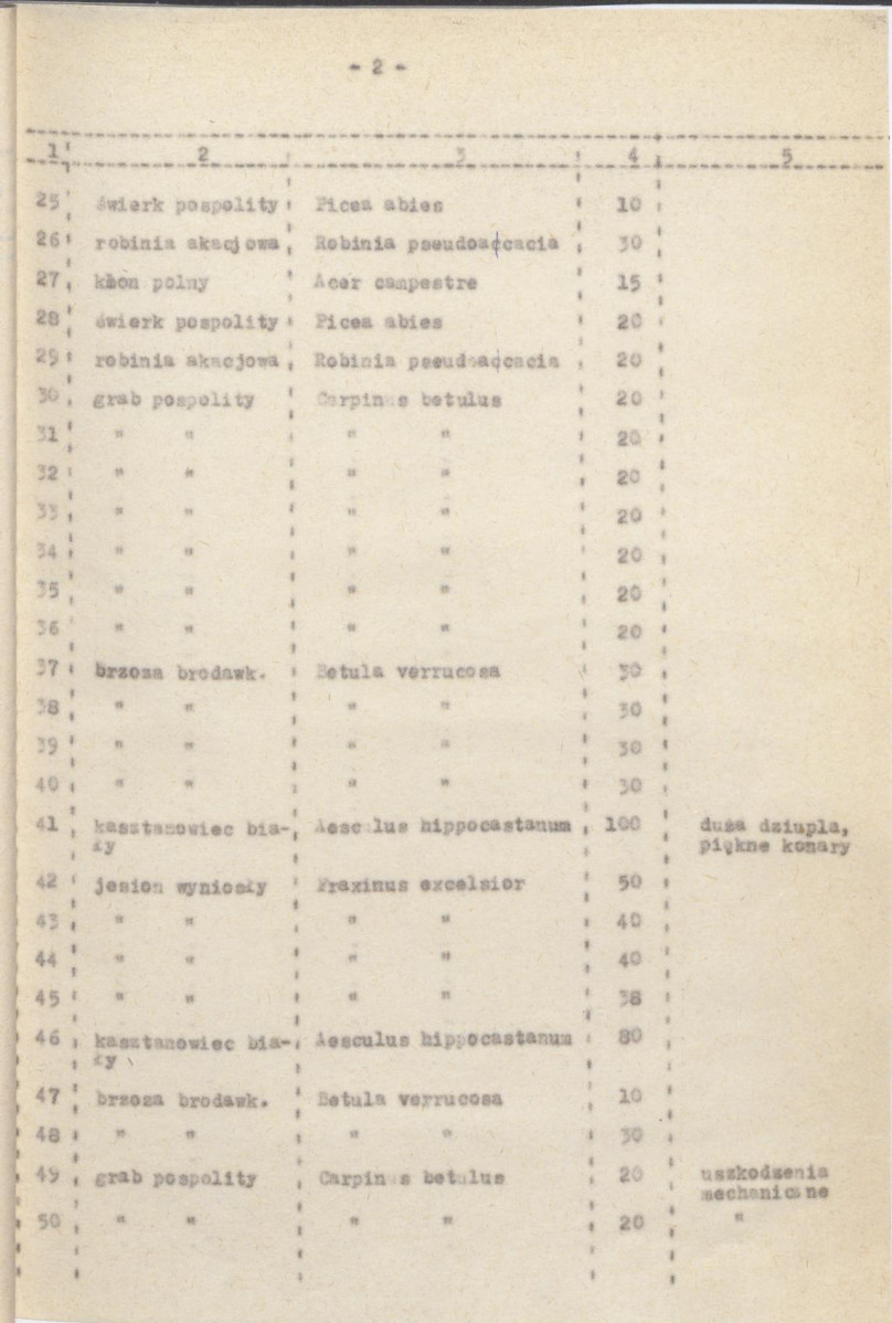 Ewidencja parkowa, skan nr 31
