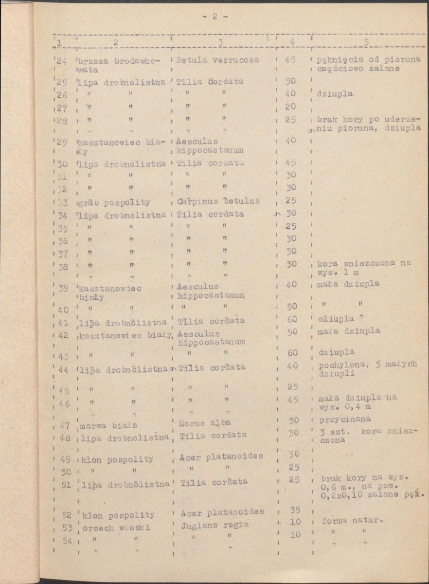 EP - Ewidencja parkowa, skan nr 17