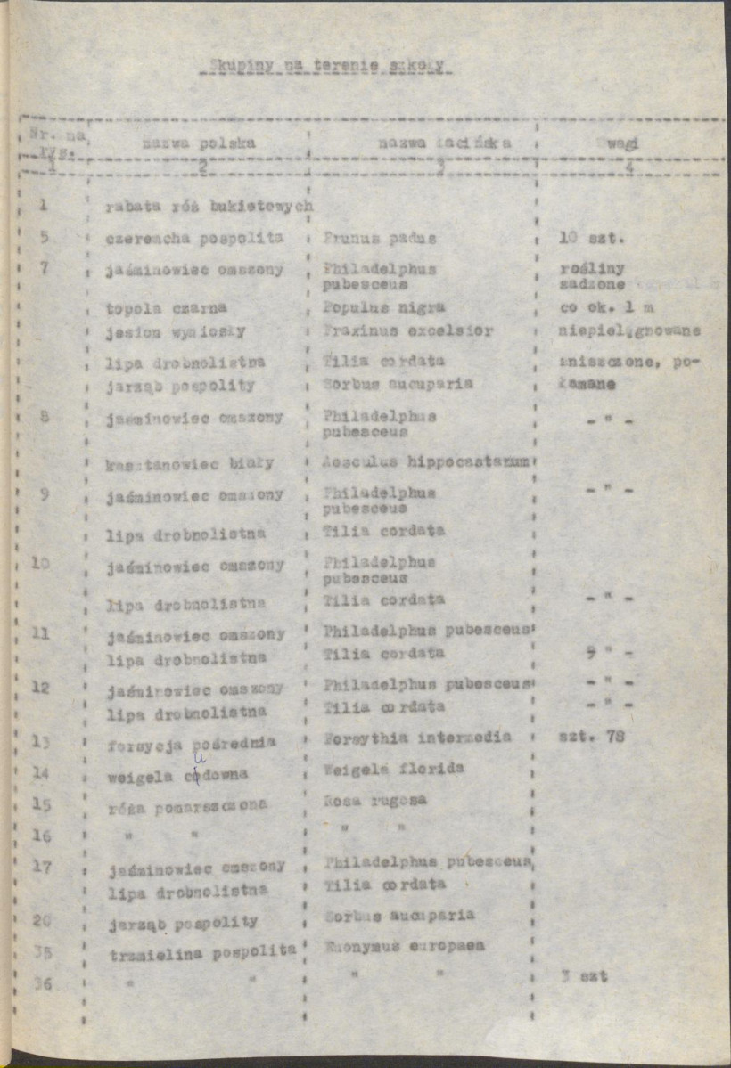 Ewidencja parkowa, skan nr 38
