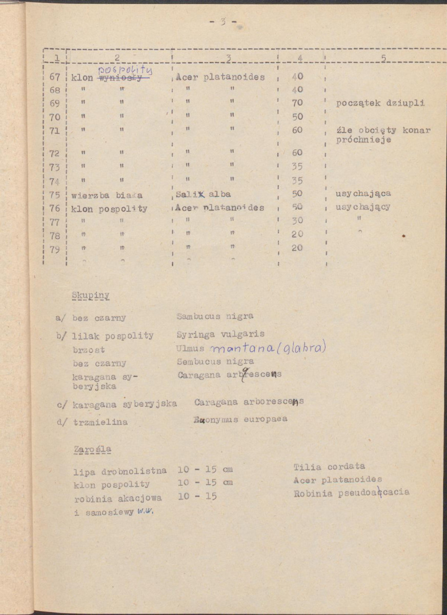 EP - Ewidencja parkowa, skan nr 21