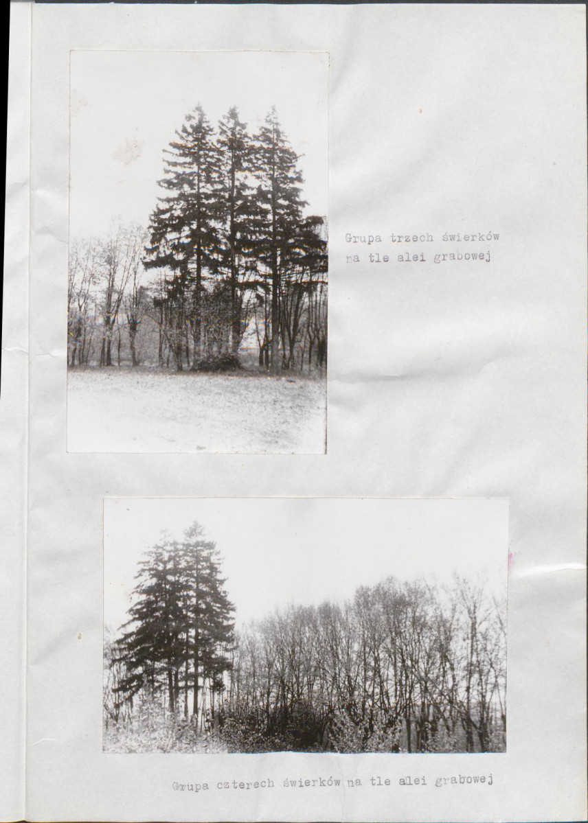 EP - Ewidencja parkowa, skan nr 28