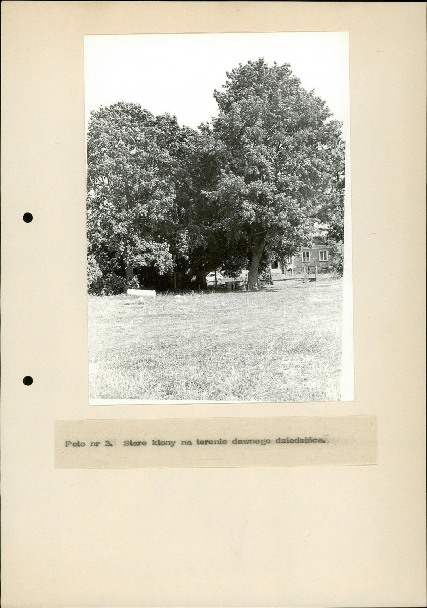 Ewidencja parkowa, skan nr 31