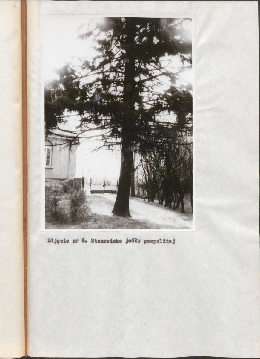 EP - Ewidencja parkowa, skan nr 18