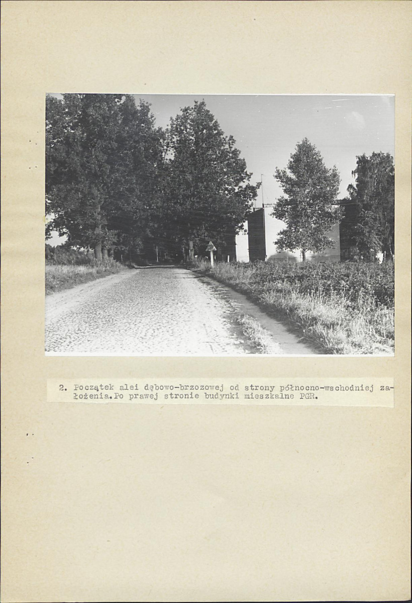 Ewidencja parkowa, skan nr 25