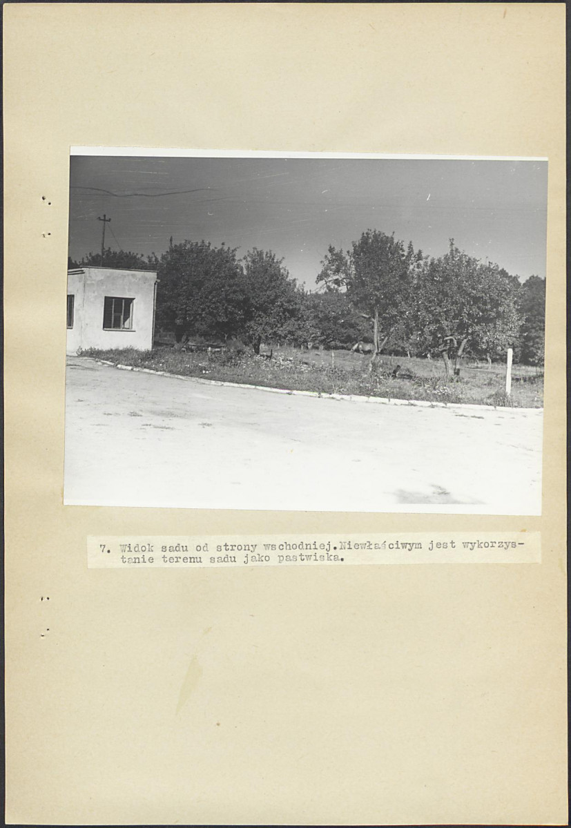 Ewidencja parkowa, skan nr 30