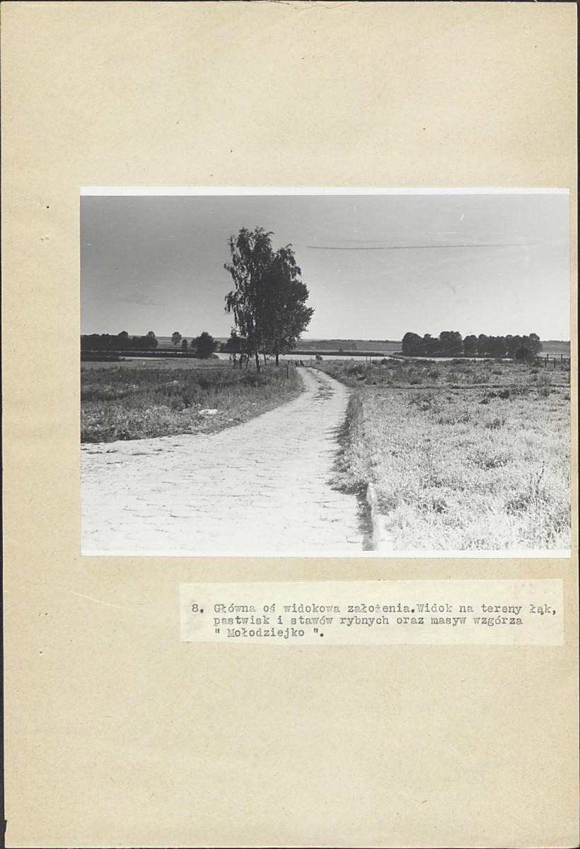 Ewidencja parkowa, skan nr 31